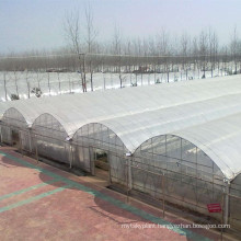 strawberry greenhouse plastic film